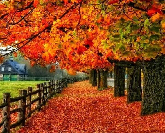 Autumn