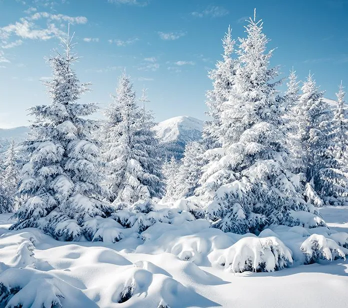 Winter