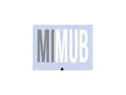 MIMUB Campaign