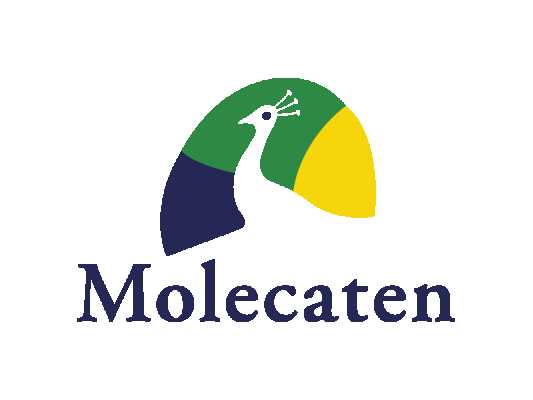 enjoy-the-indian-summer-at-molecaten-holiday-parks-in-the-netherlands