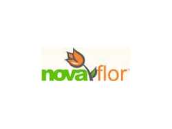 Nova Flor