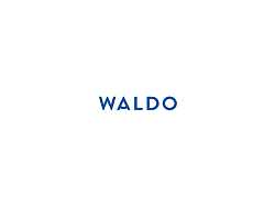 Waldo Daily Contact Lenses